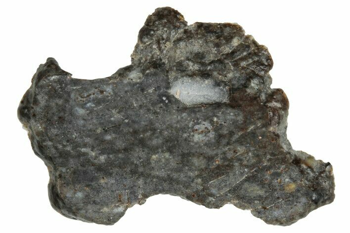 Lunar Meteorite ( g) Slice - Laayoune #291652